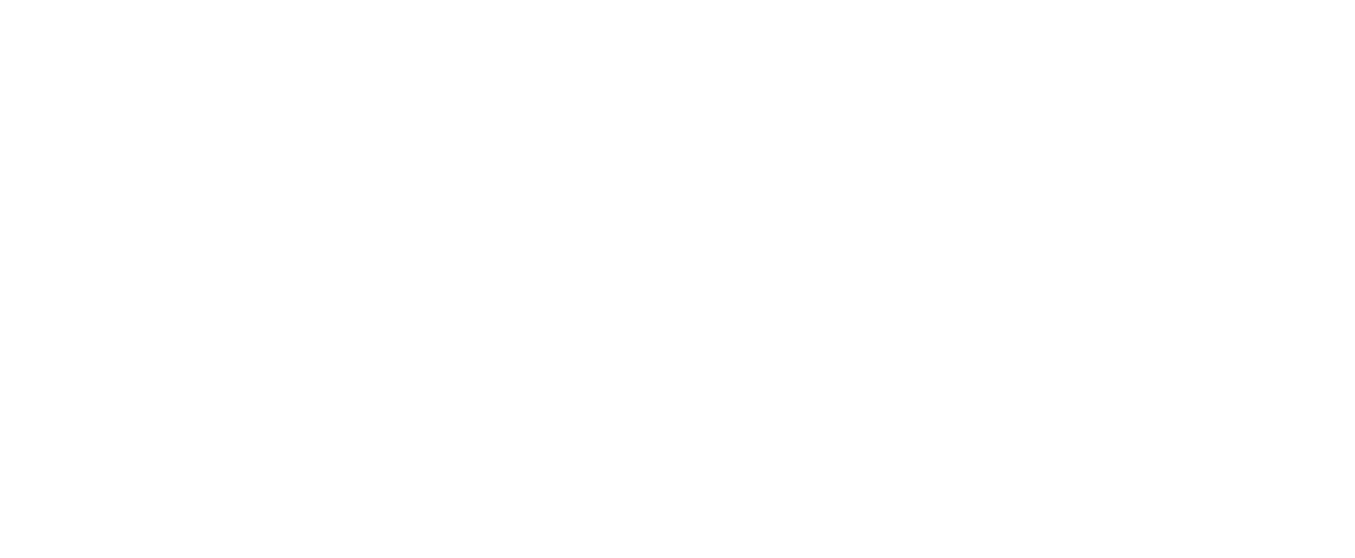 logo light