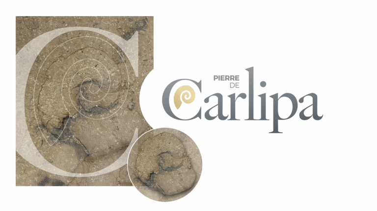 Pierre de Carlipa Logo